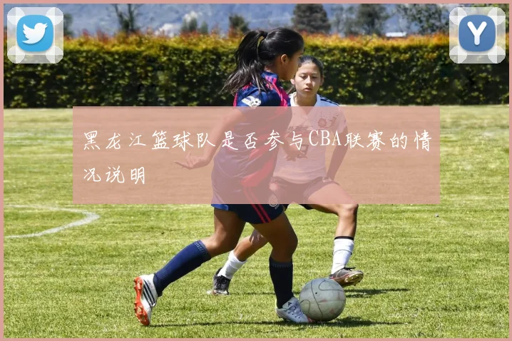 黑龙江篮球队是否参与CBA联赛的情况说明