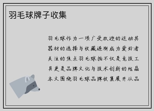 羽毛球牌子收集