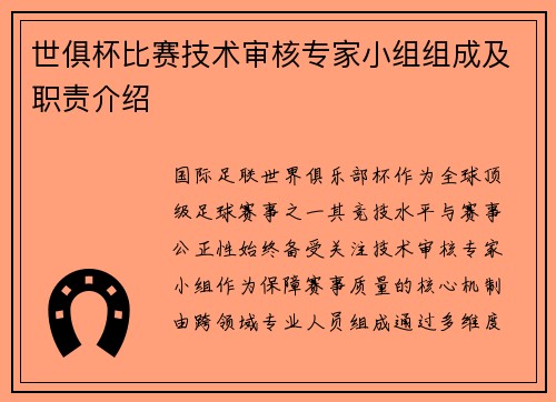 世俱杯比赛技术审核专家小组组成及职责介绍